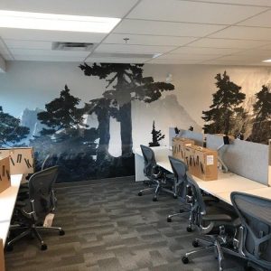Custom Printed Wallpaper in Vancouver 12-min