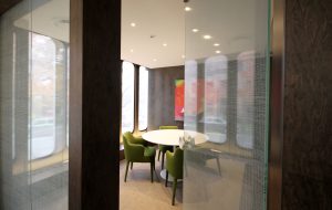 Fasara Window Covering 2