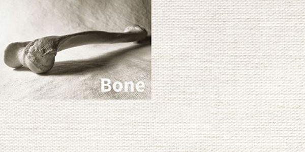 Squid Textiles - Bone