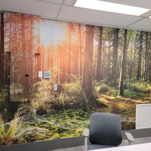 Temp Rainforest-min